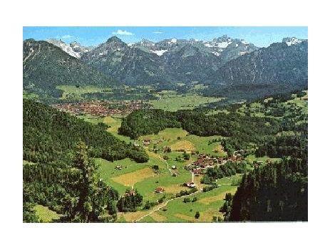 Falkenhorst 41